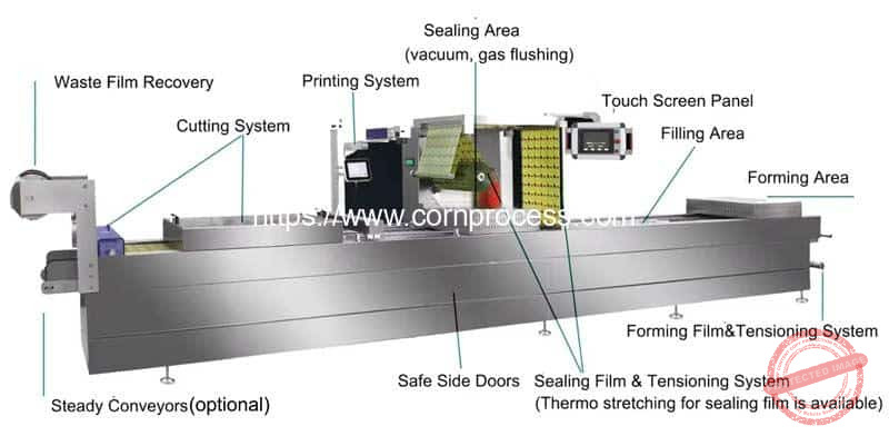 Automatic-Sweet-Corn-Thermoforming-Vacuum-Packing-Machine-Structure-Introduction